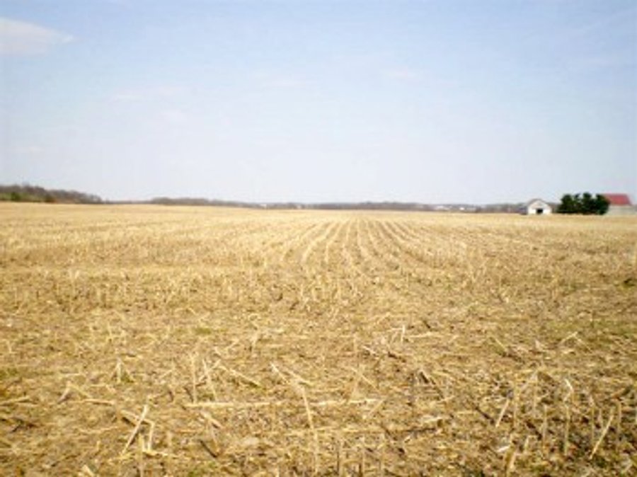 For sale: 276 Acre Intensive Grain Crop Farm - Muncie, IN